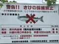 全国的に増加の「釣り禁止スポット」理由とは？  SNS＆ニュースで話題 “逆ギレ漁港” 地元ライター「考察レポ」 知るべきルール「当たり前からローカルまで」の画像003