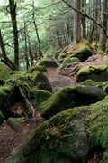 【この秋、絶対！ 八ヶ岳】第3回「権現岳」 高度感溢れる稜線、厳つい男性的な山の画像001