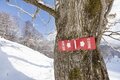 多発する「バックカントリー」での事故！ 「コース外滑走とは違う」 “雪崩”だけじゃないリスク【2023スノーシーズン】の画像006
