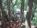 日本屈指のパワースポット！  埼玉・秩父「三峯神社」と妙法ヶ岳「奥宮」に参拝登山【ルポ】の画像002