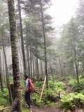 【夏がくれば思い出す】山小屋一年目にコロナで休業「あの時、私たちは」【わたし、山小屋はじめます vol.50】の画像002