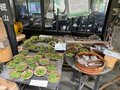 ＜4月末の御岳山レポート＞都心からすぐ。苔むした岩が美しい新緑のロックガーデン～宿坊ランチで異空間へ小トリップ！の画像009