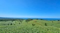 【世界自然遺産登録から20年】知床を代表する景勝地のひとつ「知床五湖」の絶景 ～9月・地上遊歩道全周3kmコースを歩く～の画像005