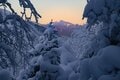 【雪山登山】冬の硫黄岳！ 白い世界とのコントラスト！ 圧巻の八ヶ岳ブルーと迫力のスノーモンスター〈長野県〉の画像006