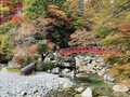 あの「香嵐渓」超える紅葉名所か！？  知る人ぞ知る「夕森渓谷」とは！  名古屋から1時間半「清流・川上川」がつくる絶景の渓谷美「現地レポ」の画像005