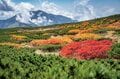 【富士山の次に登る山 vol.1】登山の魅力はムゲン大「パワーを感じる霊山」 秋田駒ヶ岳・白山・御嶽山・大山の画像007