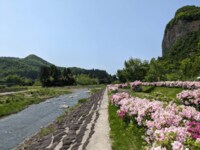 一度は行きたい「アウトドアギアの聖地」キャンプ！  山岳＆清流が美しい「三条市下田郷」で「ファミリー・デュオ・ソロ」どれでもOKの野営地3選