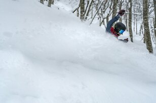 【斑尾高原スキー場】「降ったら最高！  でもパウダーじゃなくても地形が楽しい」 人気のツリーランコースを滑る！  “名物シングルリフトの先にある爽快な絶景”  長野県飯山市 2025年