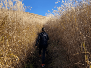 早春の「足ならし」に登りたい！ 都心から「日帰りOK」＆登山口と山頂「往復で3時間以内」絶景の山3選