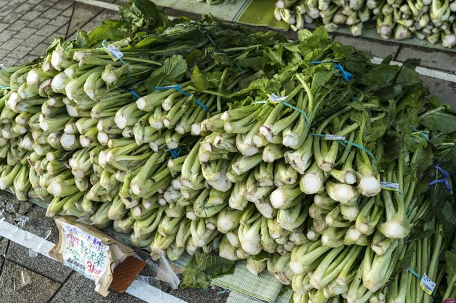 滑るだけでは物足りない！「グルメと温泉」より濃厚に旅を楽しめる！  とっておきの欲張り女子旅プラン【冬の野沢温泉スキー場編】の画像005