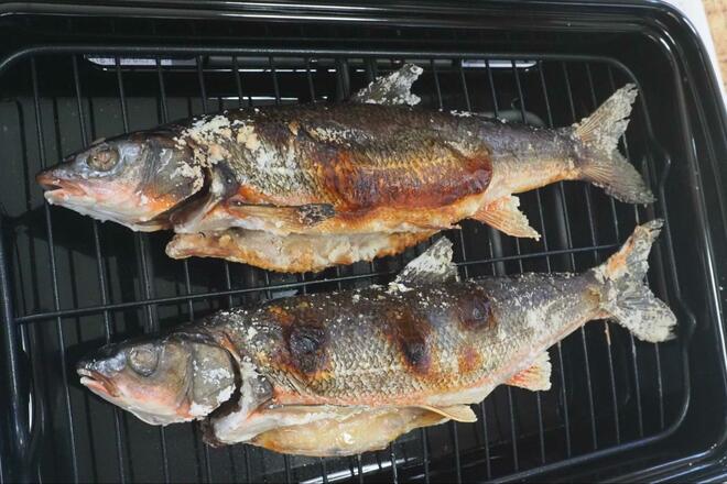 まさか「ウグイ」で感動するとは！  関東随一の清流「那珂川」で30cmオーバーの「寒バヤ釣り」！  ウマすぎる、常連の助言＆塩焼きの慈味の画像011