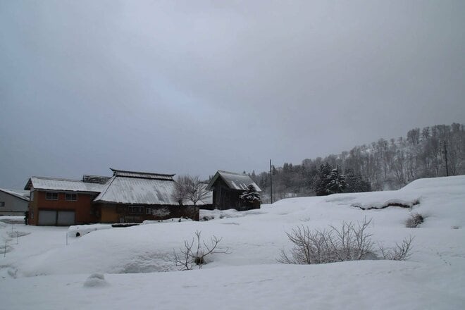 “おとぎの国”に迷い込んだような静かなブナの森を行く「のんびりバックカントリーツアー」 JAPOWを楽しむ！【長野県鍋倉山】2026年の画像001