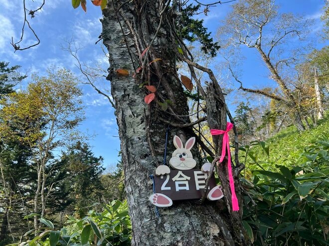 【第5回 コロンビア アウトドア アカデミー】 札幌から1時間、初心者に最適！  支笏湖を望む「絶景登山」ガイドツアー「イチャンコッペ山」レポートの画像002