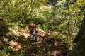 【百名山】秋色に染まる雨飾山へ！ 「山肌を覆う絢爛な彩りが見事」紅葉登山  長野県、小谷温泉ルート 2024年の画像003