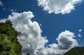 【渓流釣り】 時間に厳しい！？  夕闇のプールではしゃぐ山女たち 「翌朝もワンチャンあるかも！」 2024年6月、新潟県十日町の画像001
