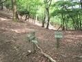 晴れた日には大阪湾まで眺望OK！  北摂山系最高峰「深山」山頂からのパノラマ絶景＆ご神体「深山宮」兵庫県立ささやまの森公園コース「登山レポ」の画像014
