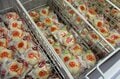 【長野県内外からたくさんの来訪者】人気の秘密は “今も息づく地域文化” を感じられるところ「道の駅 信州新町」「道の駅 中条」の画像016