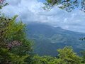 【電車で行ける】ヤマツツジの名所「日光・鳴虫山」へ　日帰りハイキング最新レポート＜2026年5月中旬＞の画像004