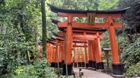 京都＆奈良「神社仏閣」お参りとあわせて “ゆっくりできる” 低山3選！  駅スタート・往復3時間・絶景「世界遺産」そばも！「現地レポ」