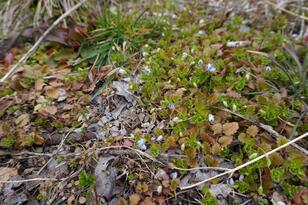 春キャンプを「台なしにしない」ために！  見落としがちな「3つの落とし穴」とは？