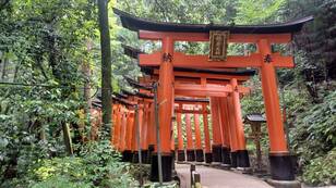 京都＆奈良「神社仏閣」お参りとあわせて “ゆっくりできる” 低山3選！  駅スタート・往復3時間・絶景「世界遺産」そばも！「現地レポ」