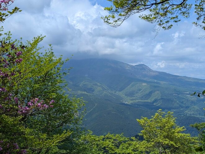 【電車で行ける】ヤマツツジの名所「日光・鳴虫山」へ　日帰りハイキング最新レポート＜2026年5月中旬＞の画像004