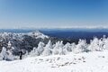 【春の雪山登山入門におすすめ】気軽に楽しめる絶景雪山ルート「湯ノ丸山」への画像001