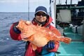 人気急上昇中のルアーフィッシング「タイラバ」とはどんな釣り？「釣り方やターゲット」を徹底解説！の画像002