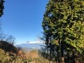 奇跡の現象「霜の花」がお出迎え！  初心者でも楽しめる静岡県「竜爪山ハイキング」山頂からの駿河湾と富士山の絶景とは？の画像005