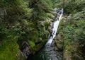 【世界自然遺産・屋久島】屋久杉の巨木「弥生杉・二代杉・気根杉」と苔に包まれた “もののけの森”「白谷雲水峡」をめぐるの画像005