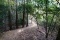 秋の京都は観光だけではもったいない！　紅葉と寺社と山をまるっと楽しむ！【2021年・秋】の画像008