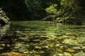【渓流釣り】 目に染みるような緑の渓で陽光に輝くアマゴに目を細め、うつろう季節を感じながら御嶽山の裾野でフライフィッシング！ 「上流より下流の方が好釣果」  長野県・木曽川漁協エリア 2024年の画像005