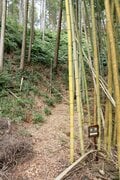 NHK大河『どうする家康』が100倍面白くなる！ 「徳川家康」父祖の地に残る「松平城」を歩く＜前編＞（奥三河・松平郷／愛知県豊田市）【家康ゆかりの山城を攻める vol.1】の画像015