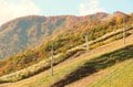 今週末の紅葉見るならどこ？　名所＆人気スポットから最新情報をお届け「WEEKLY紅葉ニュース」【2023年11月第1週】の画像004