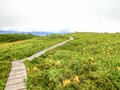 「“おわら節”の風に吹かれて」雲上のお花畑・白木峰トレイルをいく  2022年／富山県八尾町の画像002
