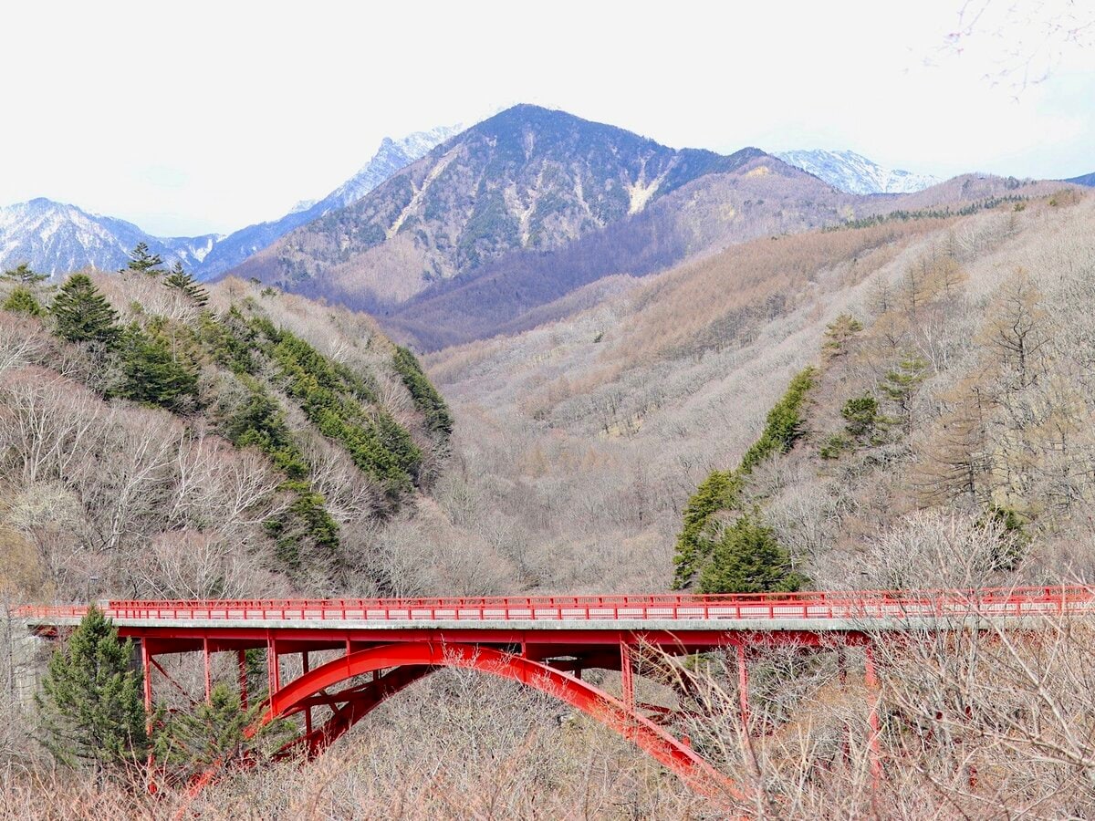 登山ビギナー「百名山・八ヶ岳」のプチ冒険! 全長2.8km・高低差 登山ビギナー「百名山・八ヶ岳」のプチ冒険! 全長2.8km・高低差