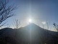 冬こそ登りたい「関東の低山」5選！  澄んだ空に「富士山」が映える＆季節限定の景色・現象も楽しめる山！の画像009