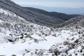 雪山ビギナーでもOK！ 「北八ヶ岳」絶景スノートレッキング「渋の湯登山口」から「高見石展望台」往復約4時間「ハイキングレポ」の画像006