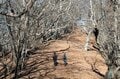 【首都圏近郊】冬にこそ歩くべき奥多摩三大急登「六ツ石山」の魅力の画像005