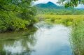 本州で釣れるのは日光・湯川だけ！「フライフィッシングの聖地」で狙うブルックトラウトの画像016