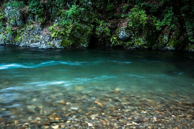 【渓流釣り】気がつけばシーズン終盤！  ゾーニングされた神流川の中ノ沢「毛ばり釣り専用区」と、キャッチ＆リリース区間でのイブニング　群馬県上野村｜2026年の画像008
