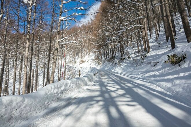 【ローカルスキー場探訪】高山村・松川渓谷、温泉街道の最高地点「ヤマボクワイルドスノーパーク」で楽しむ地形とパウダーで笑顔がノンストップ！  レトロな茶屋でほっこり気分｜長野県 2026年の画像014
