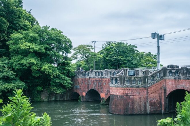 たった10kmの自転車周遊「ミズイチ」ってなに？  23区随一の水郷公園なら30分でもかなりエピック【ゆる6輪の旅 vol.01 水元公園】の画像012