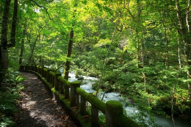 涼を求めて奥入瀬へ！ “サイクリングと渓流散策”  苔むす奥入瀬を五感で感じて癒される「奥入瀬渓流ホテル by 星野リゾート」【青森県・十和田市】の画像020