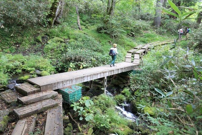 東北以北の最高峰 “燧ヶ岳”から見る「尾瀬沼と尾瀬ヶ原」と “尾瀬小屋”の「やまごやグルメ」を楽しむ1泊2日の周遊旅【福島県檜枝岐村】の画像014