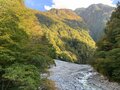 今週末の紅葉見るならどこ？ 名所＆人気スポットから最新情報をお届け「WEEKLY紅葉ニュース」【2023年10月第4週】の画像014