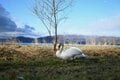 札幌からアクセスしやすい！北海道「水辺の絶景キャンプ場」3選！ 本州からの観光の拠点にも最適の画像002