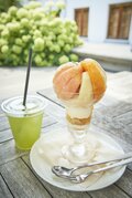 「富士山」溶岩台地のたまもの！ 神秘的「青木ヶ原樹海」ハイキング＆「3つの洞穴」驚異の「自然の造形」レポートの画像004