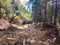 新東名高速道路「伊勢原大山IC～新秦野IC」開通！「驚異のアクセス短縮」でさらに近くなった丹沢で一番人気の「塔ノ岳」に登ろう！の画像003