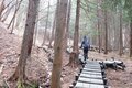 【春の訪れと共に去るはかない存在】山の春告花「座禅草（ざぜんそう）」って知ってますかの画像006